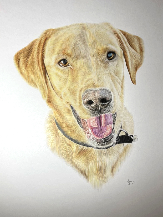 Labrador Pet Portrait Commission {{brizy_dc_image_alt imageSrc=