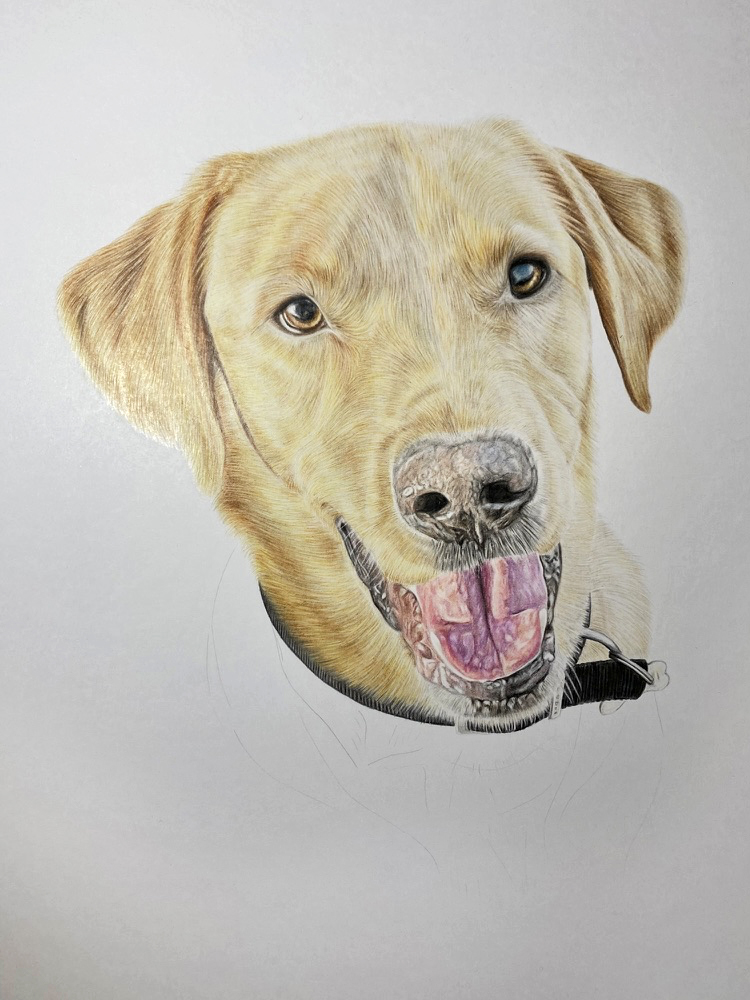 Labrador Pet Portrait Commission {{brizy_dc_image_alt imageSrc=