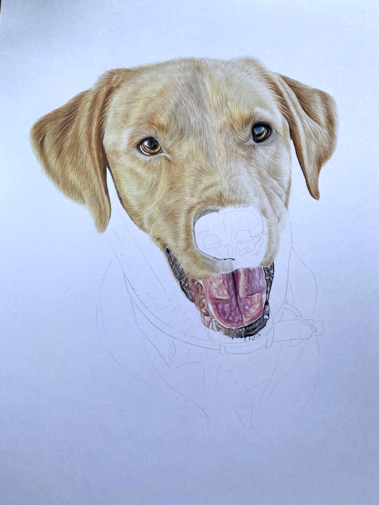 Labrador Pet Portrait Commission {{brizy_dc_image_alt imageSrc=