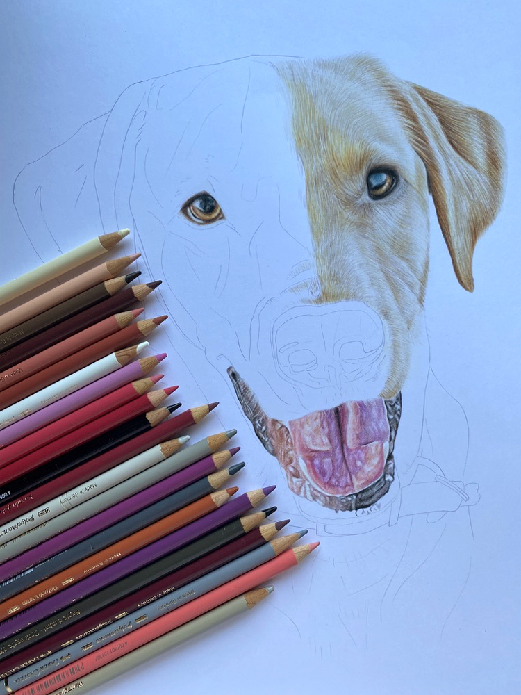 Labrador Pet Portrait Commission {{brizy_dc_image_alt imageSrc=