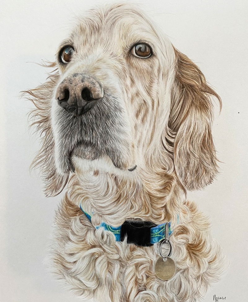 Artist Devon {{brizy_dc_image_alt imageSrc=