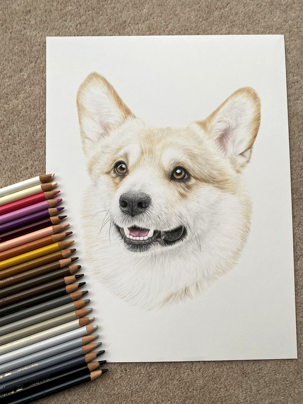 Corgi Pet Portrait Commission {{brizy_dc_image_alt imageSrc=