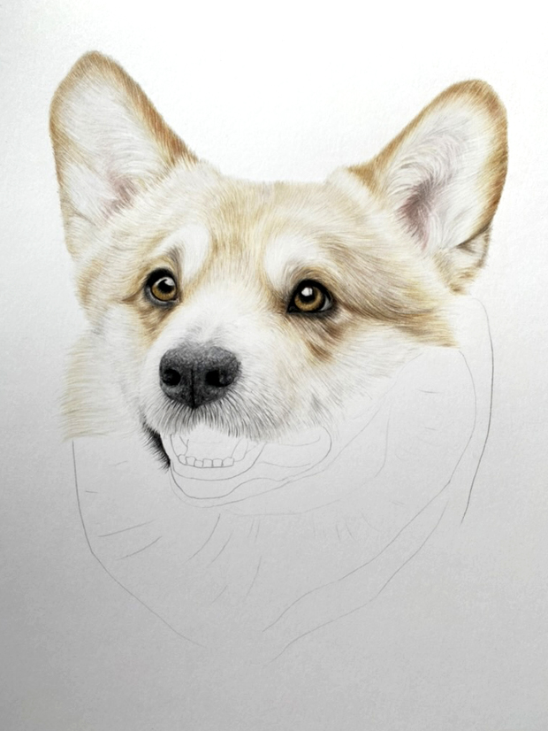 Corgi Pet Portrait Commission {{brizy_dc_image_alt imageSrc=