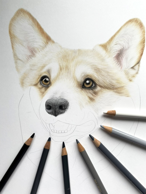 Corgi Pet Portrait Commission {{brizy_dc_image_alt imageSrc=