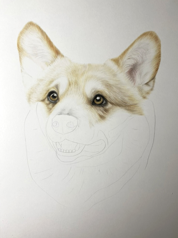 Corgi Pet Portrait Commission {{brizy_dc_image_alt imageSrc=