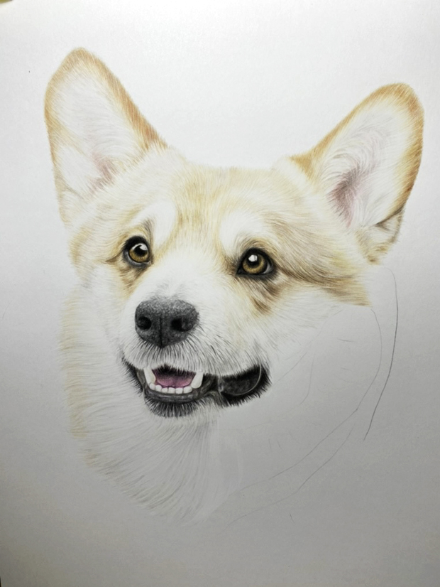 Corgi Pet Portrait Commission {{brizy_dc_image_alt imageSrc=