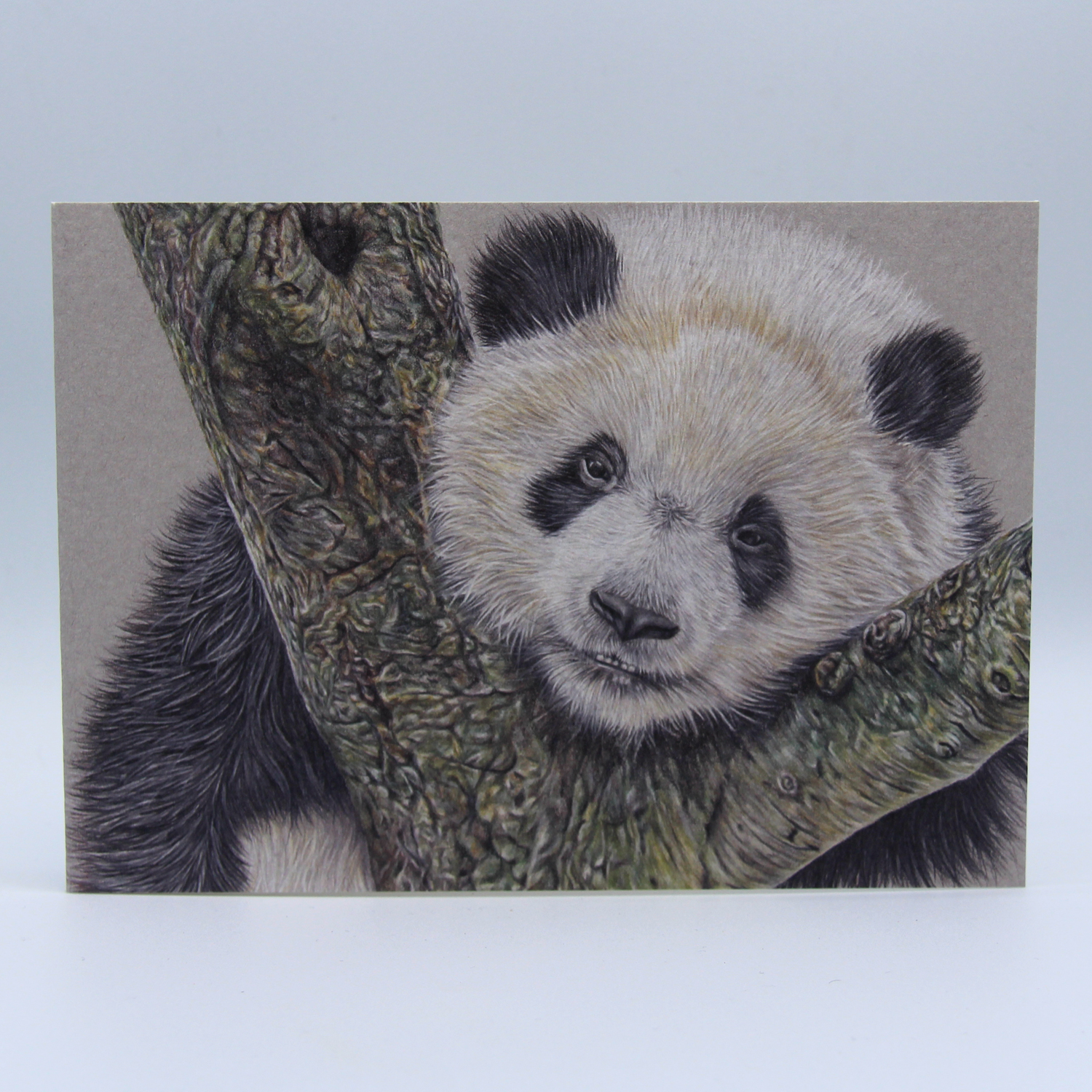 Panda Card