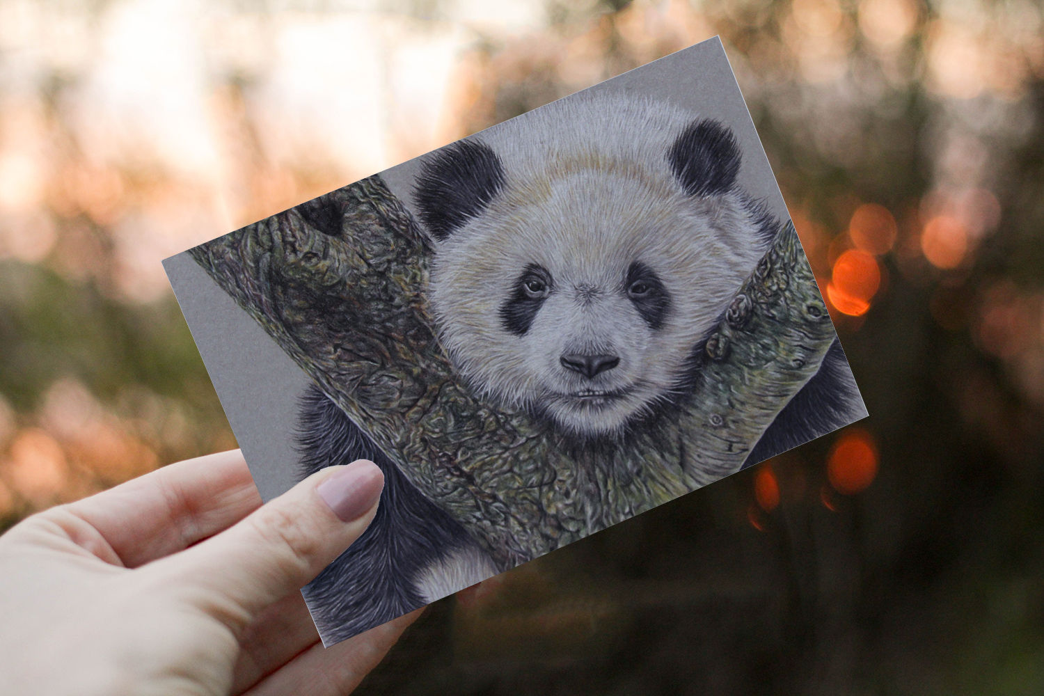 Panda Greeting Card