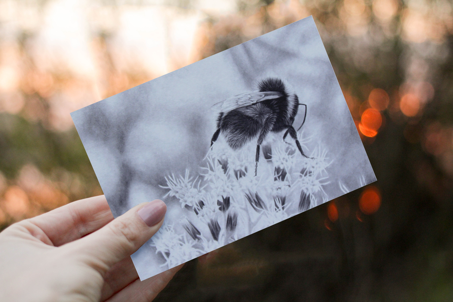 Graphite Bee Card