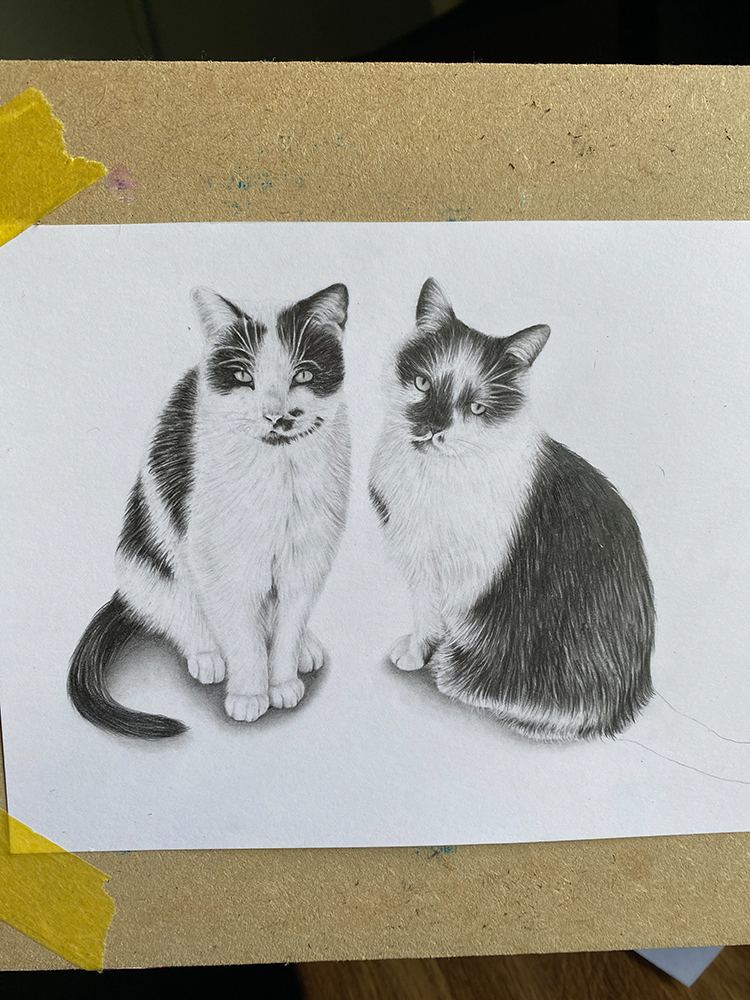 Pet Portrait Commissions Exeter {{brizy_dc_image_alt imageSrc=