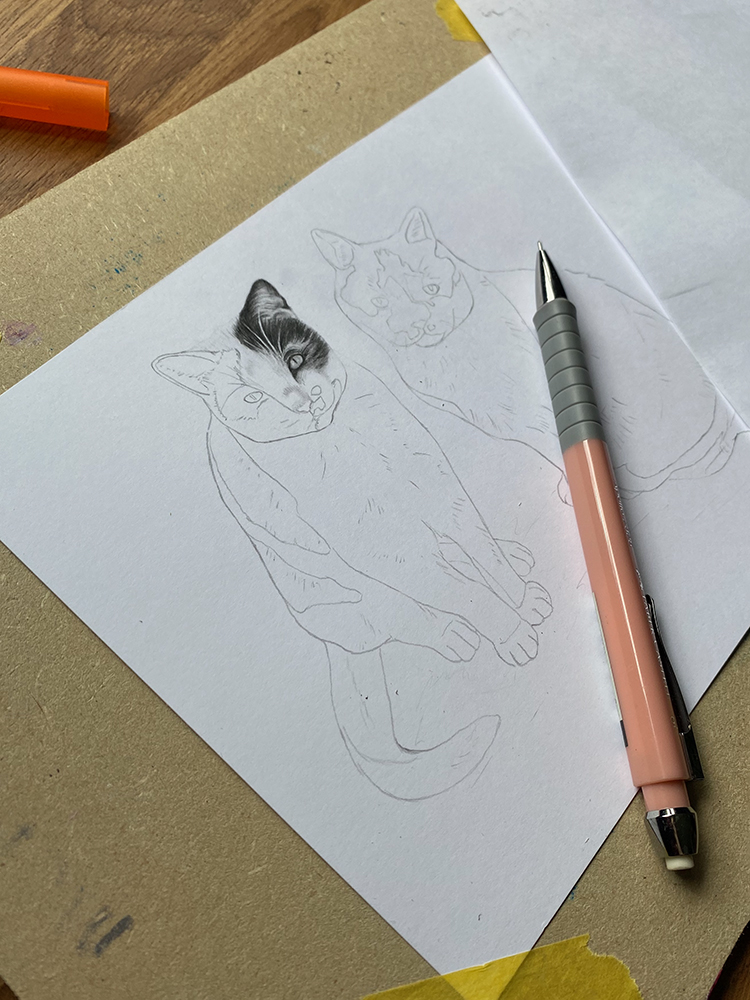 Pet Portraits Exeter {{brizy_dc_image_alt imageSrc=