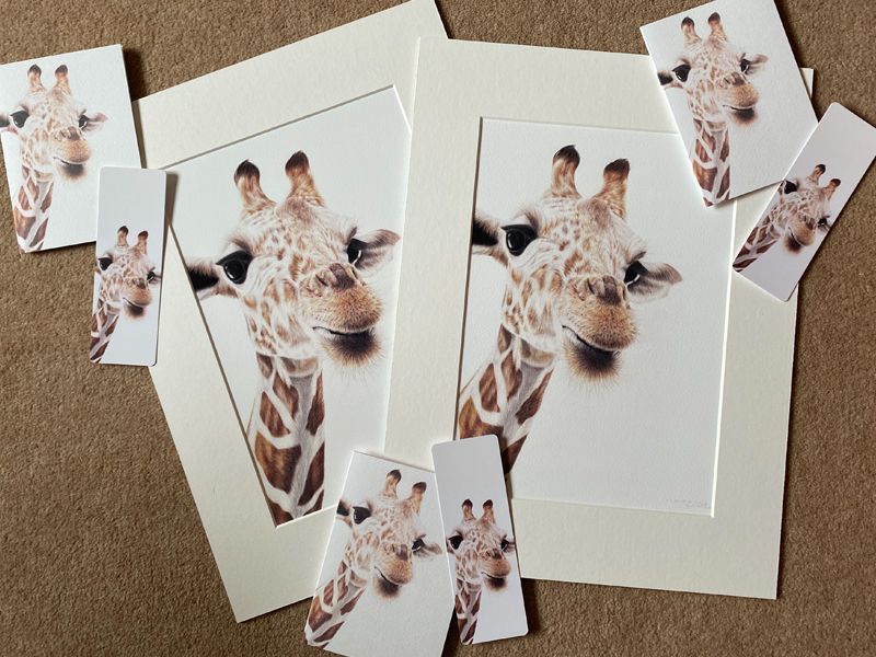Animal Art Giraffe {{brizy_dc_image_alt entityId=