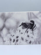 Bee Card {{brizy_dc_image_alt entityId=