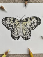 Butterfly Study {{brizy_dc_image_alt entityId=