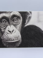 Charcoal Chimp Card {{brizy_dc_image_alt entityId=