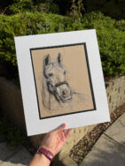 Horse Sketch {{brizy_dc_image_alt entityId=