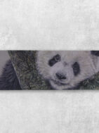 Panda Bookmark {{brizy_dc_image_alt entityId=