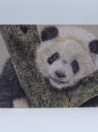 Panda Card {{brizy_dc_image_alt entityId=
