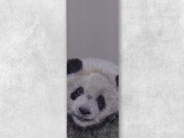 {{brizy_dc_image_alt entityId=